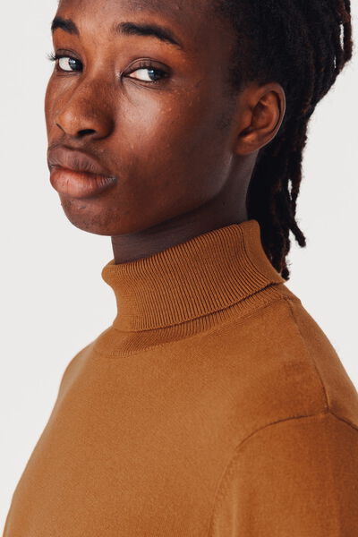 Pull col roulé