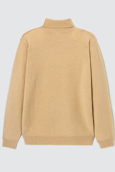 Pull col roulé en laine