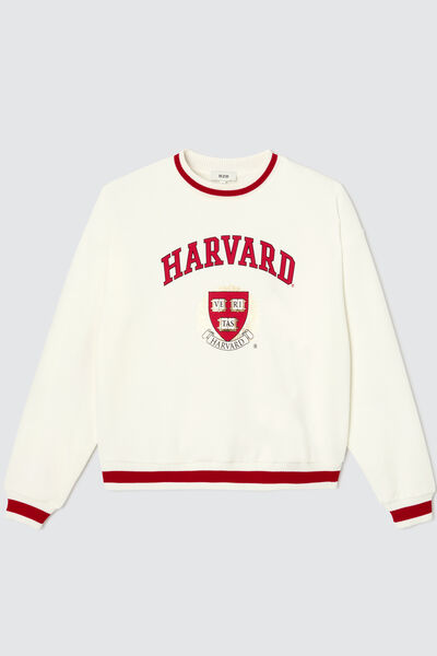Sweat campus licence HARVARD