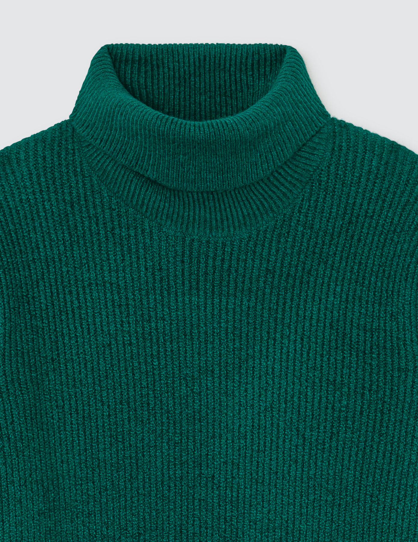 Pull col roulé à côtes