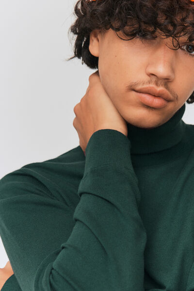 Pull col roulé