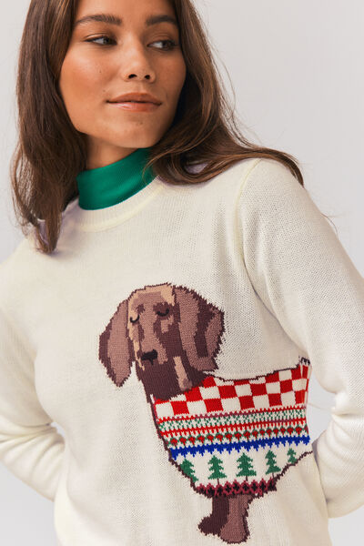 Pull de Noël teckel