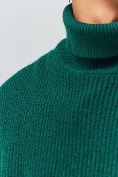 Pull col roulé à côtes