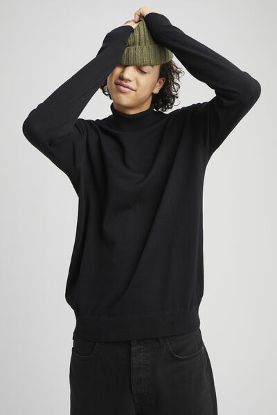 Pull col roulé