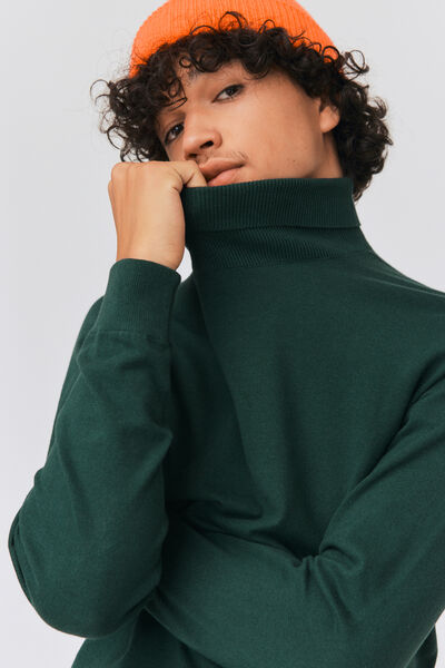 Pull col roulé