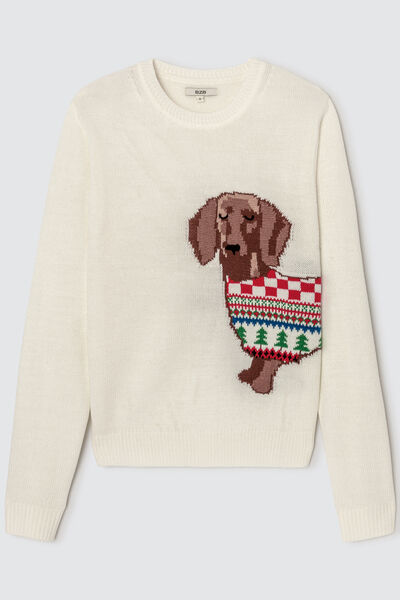 Pull de Noël teckel