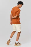 Bermuda chino