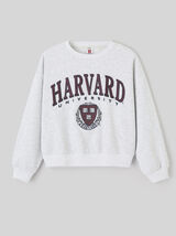 Sweat licence Harvard