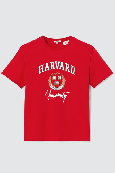 T-shirt licence HARVARD