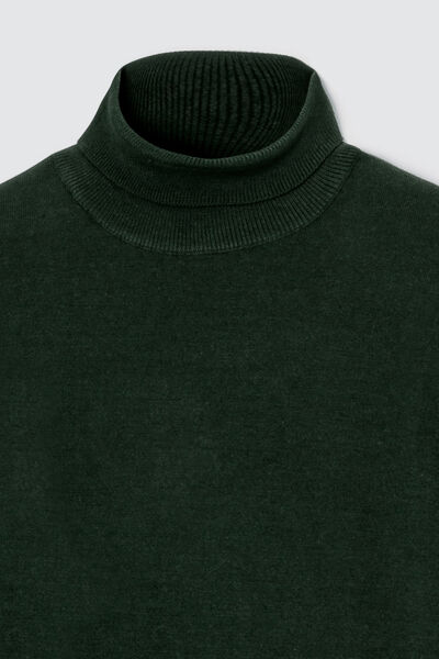 Pull col roulé