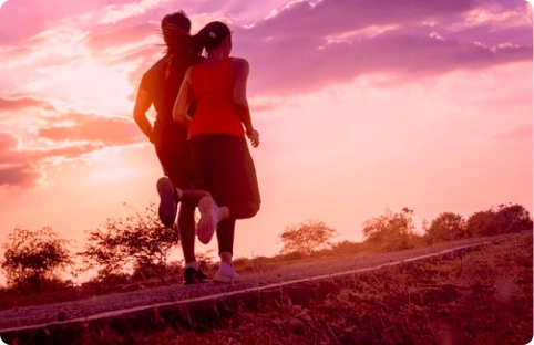 Nouvelle collection BZB