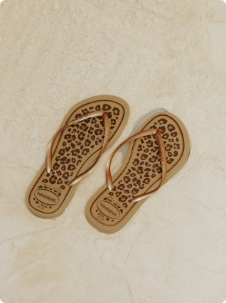 Havaianas camel