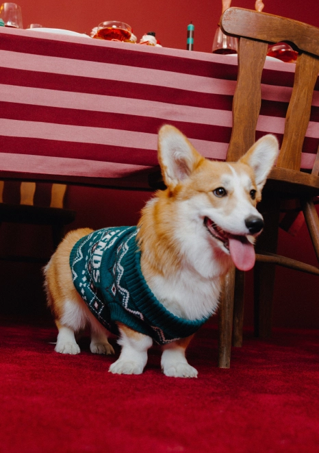 Nouvelle collection BZB