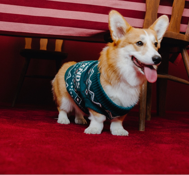 Nouvelle collection BZB