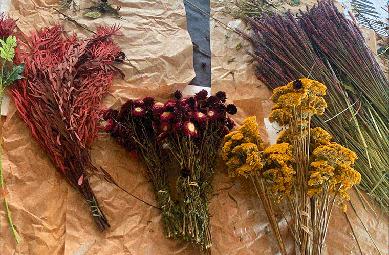 atelier fleurs séchées