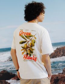 Ensemble "T-shirt & Bermuda Chino"