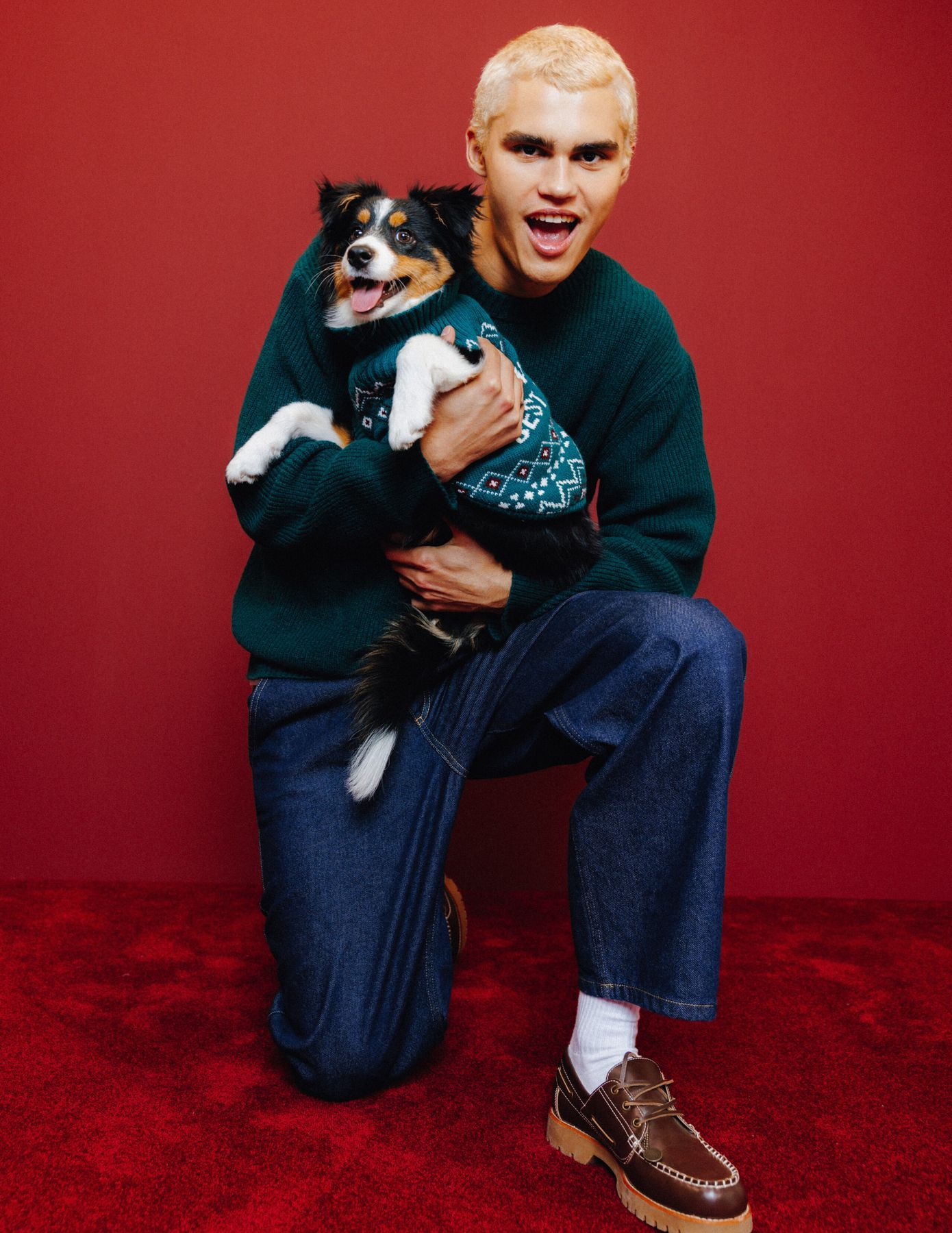 Pull de No&euml;l pour chien