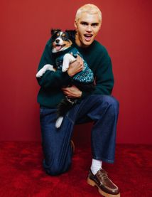 Pull de No&euml;l pour chien