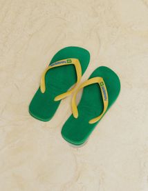 Hava&iuml;anas Brasil Logo