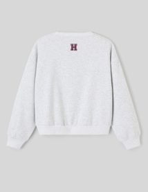 Sweat licence Harvard