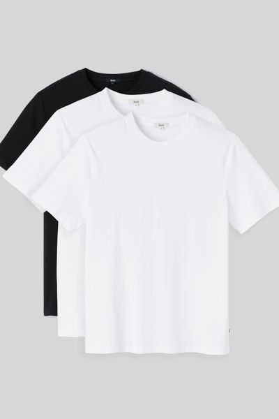 Lot de 3 basiques unis