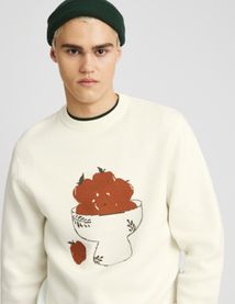 Pull imprimé pommes