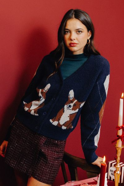 Gilet jacquard chien