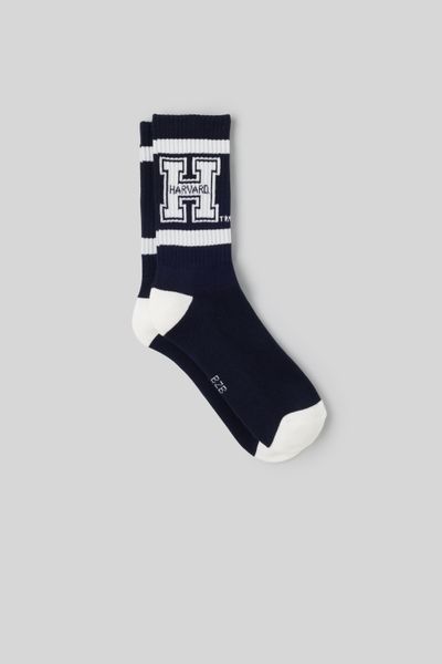 Chaussettes Harvard