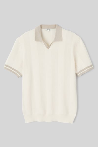 Polo sport