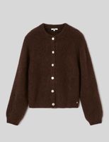 Marron fonc&eacute;e