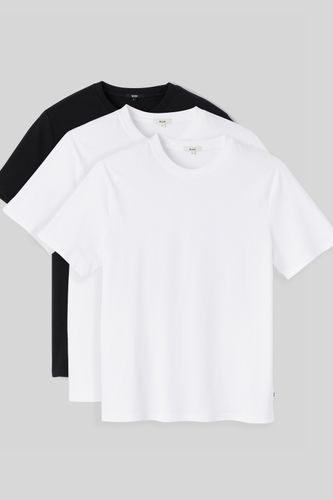 Lot de 3 basiques unis