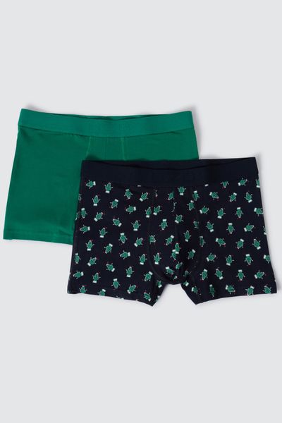 Lot de 2 boxers fantaisie sapin