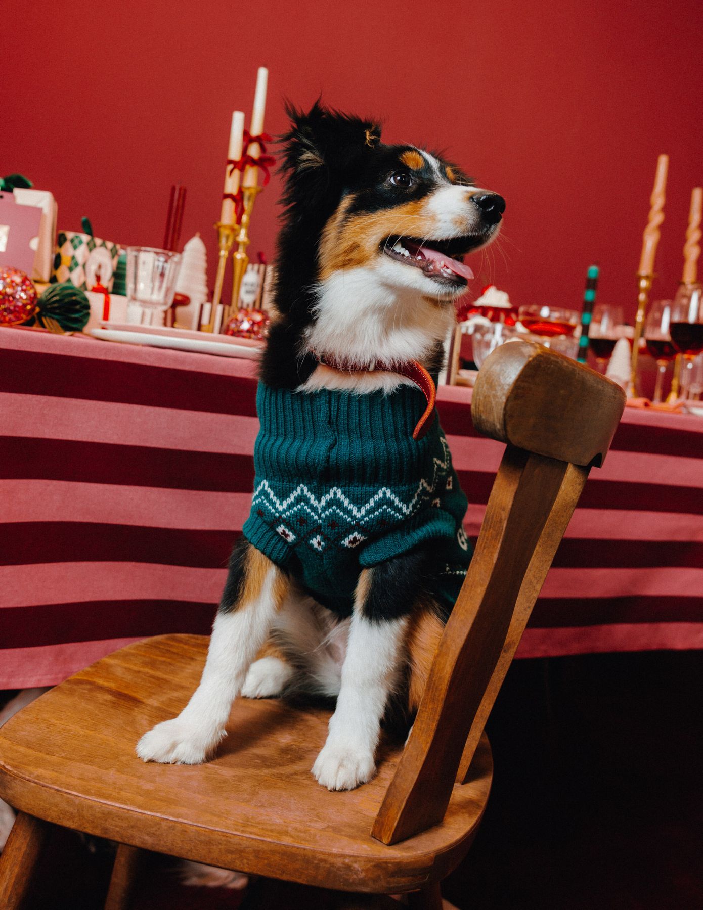 Pull de No&euml;l pour chien