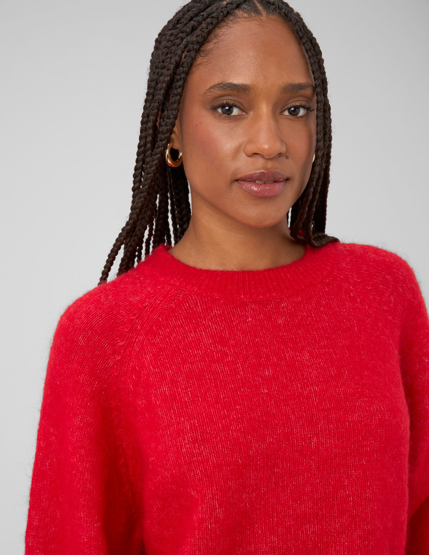 Pull col rond premium