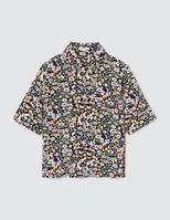 Multicolore