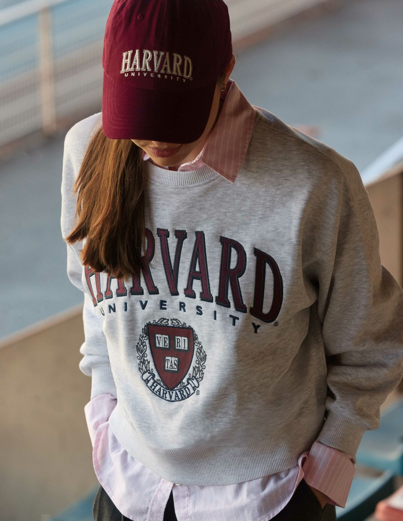 Sweat licence Harvard