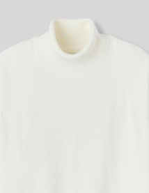 Pull col roulé