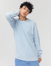 Pull col rond coton uni
