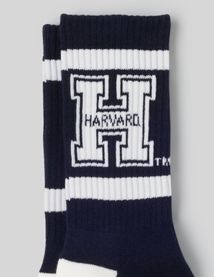 Chaussettes Harvard