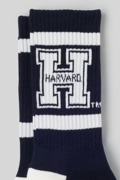 Chaussettes Harvard
