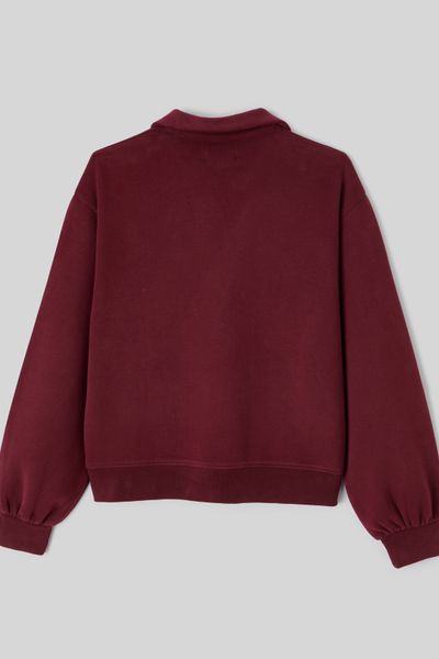 Sweat col polo broderie poitrine