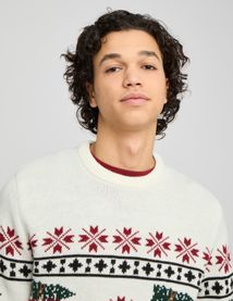 Pull de Noel