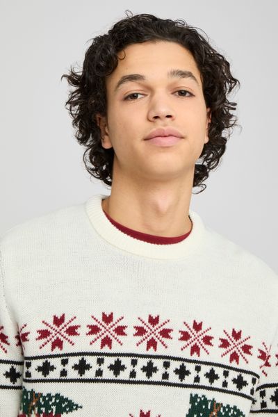 Pull de Noel