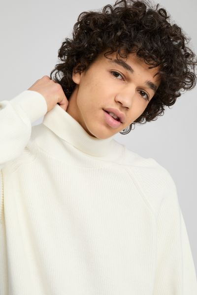 Pull col roulé
