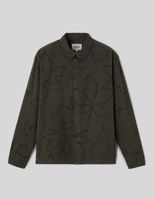 Kaki