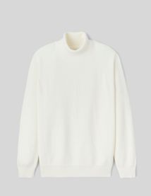 Pull col roulé