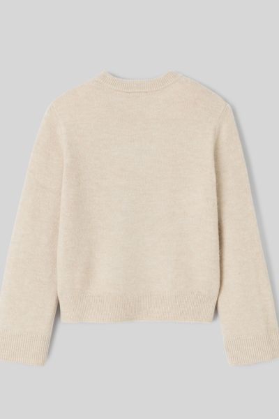 Pull jacquard ours