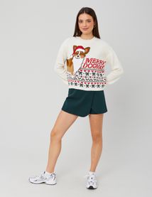 Pull de No&euml;l