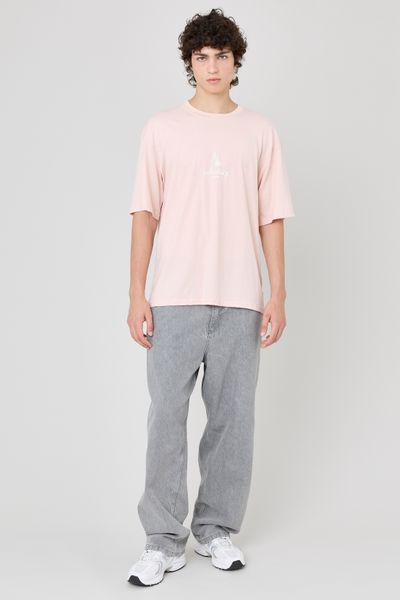 Jean skater gris clair