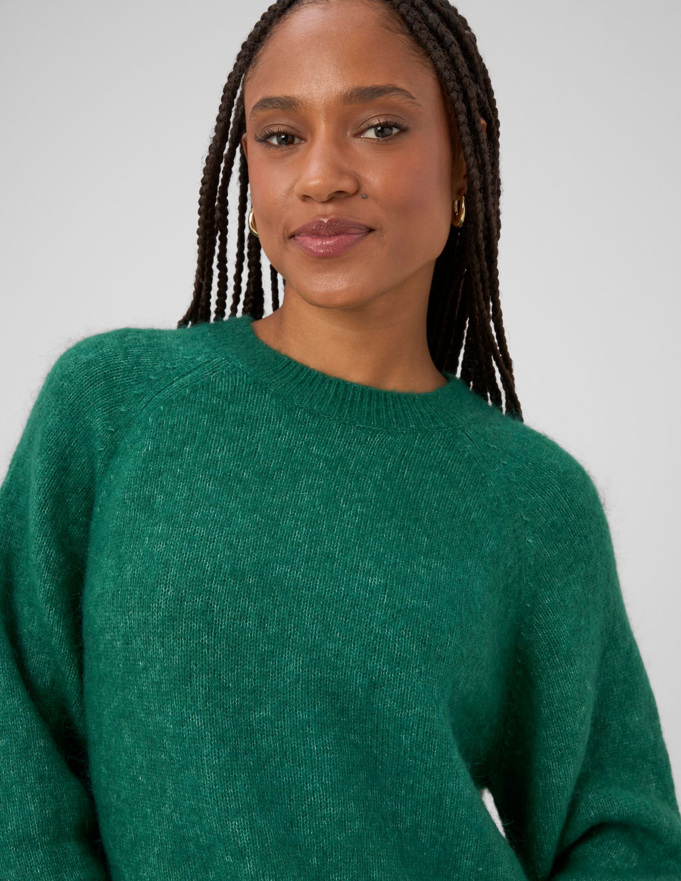 Pull col rond premium
